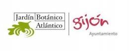Jba - Gij&oacute;n